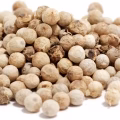 Coriander