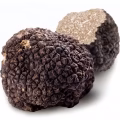 Truffle