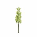Green Lilac