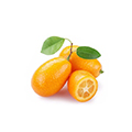 Kumquat