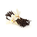 Madagascar Vanilla