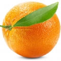 African Orange