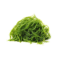 Seaweed