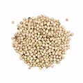 White Pepper