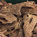 CAMBODIAN OUD