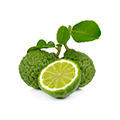 Calabrian bergamot