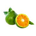 Green Mandarin