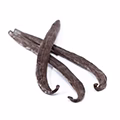 Tahitian Vanilla