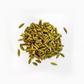 Guatemalan Cardamom